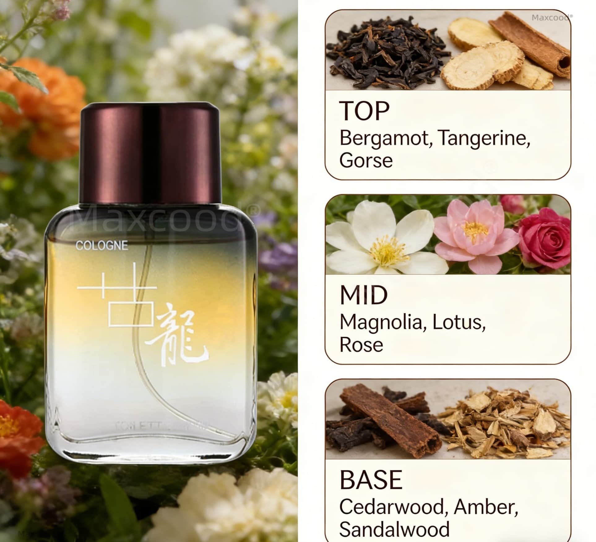 Maxcood A Citrus Men Cologne P - огляд і ціна Perfume And Fragrance