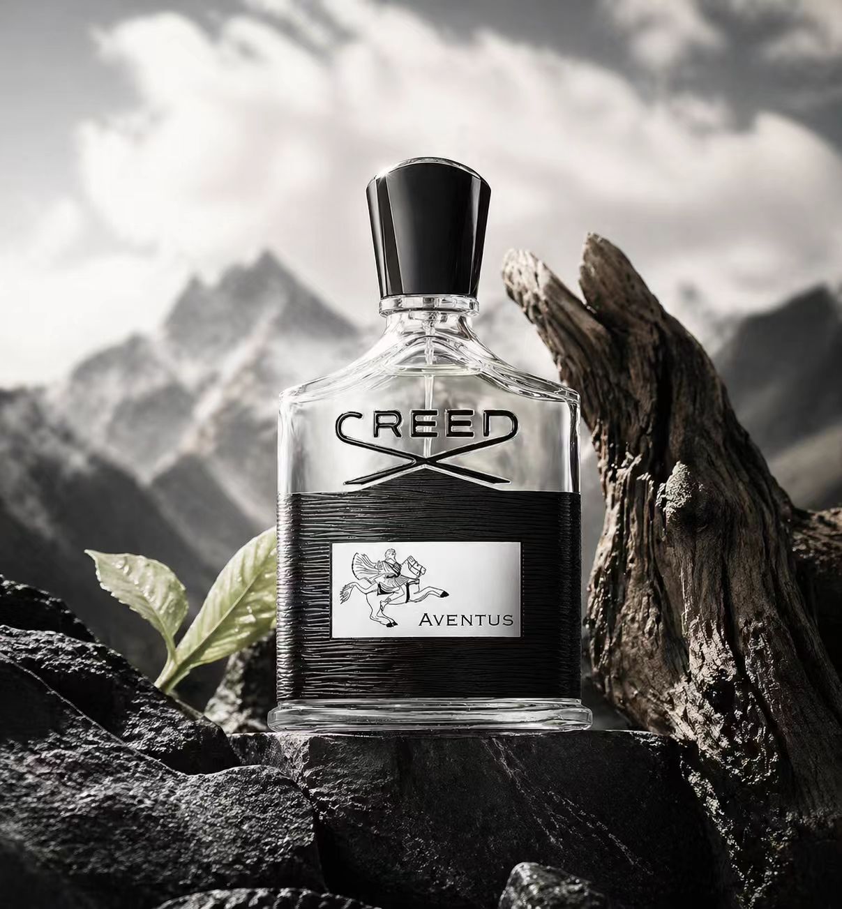 Creed Aventus: Audacious & Tim - огляд і ціна Creed Aventus Dupe