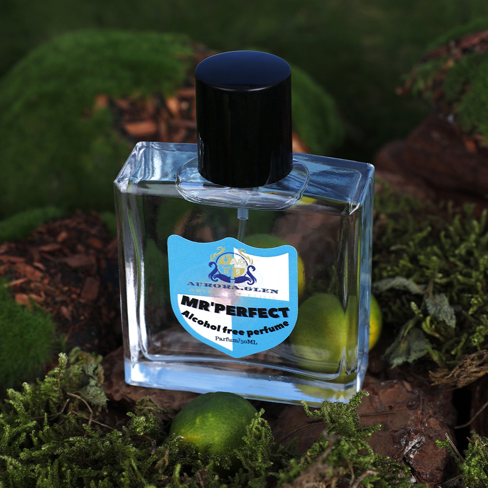 Blue men's perfume, lasting fr - огляд і ціна Creed Aventus Dupe